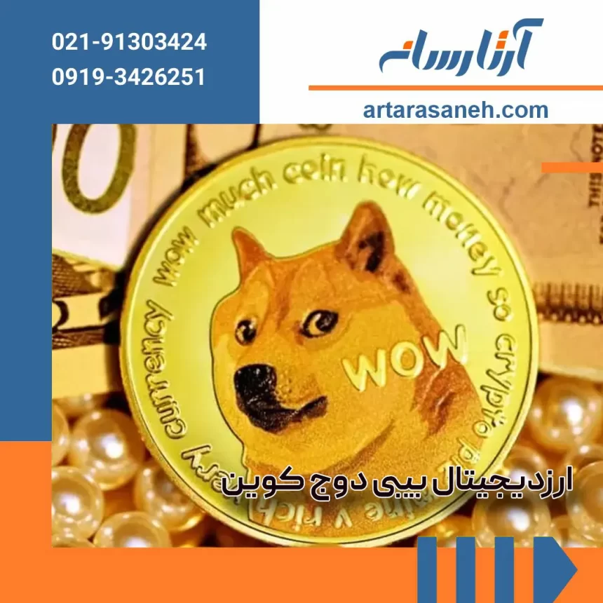 What is Baby Dogecoin currency